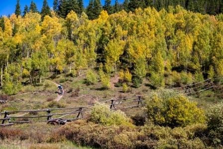 Aspen Alley