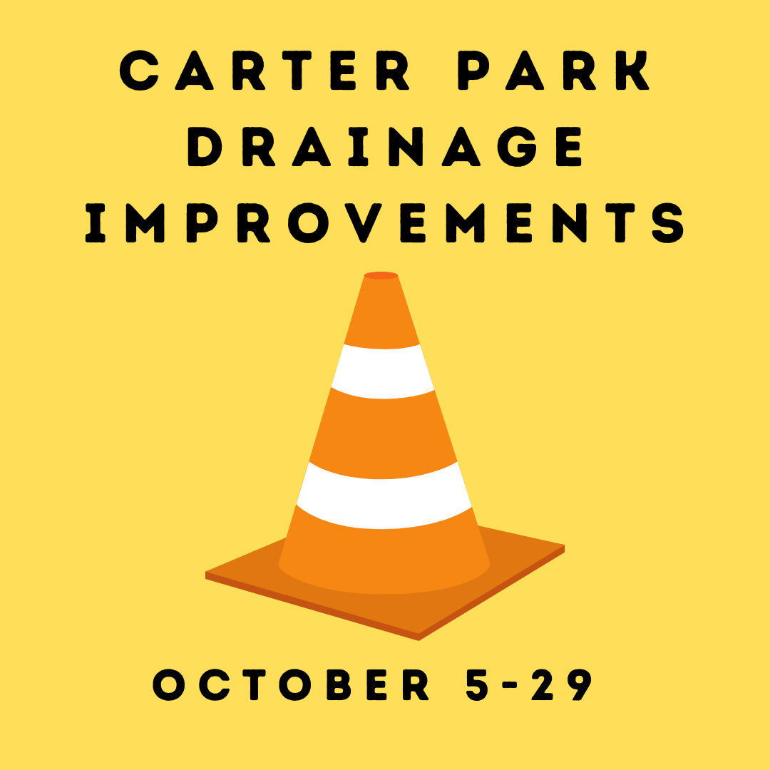 CarterParkDrainage