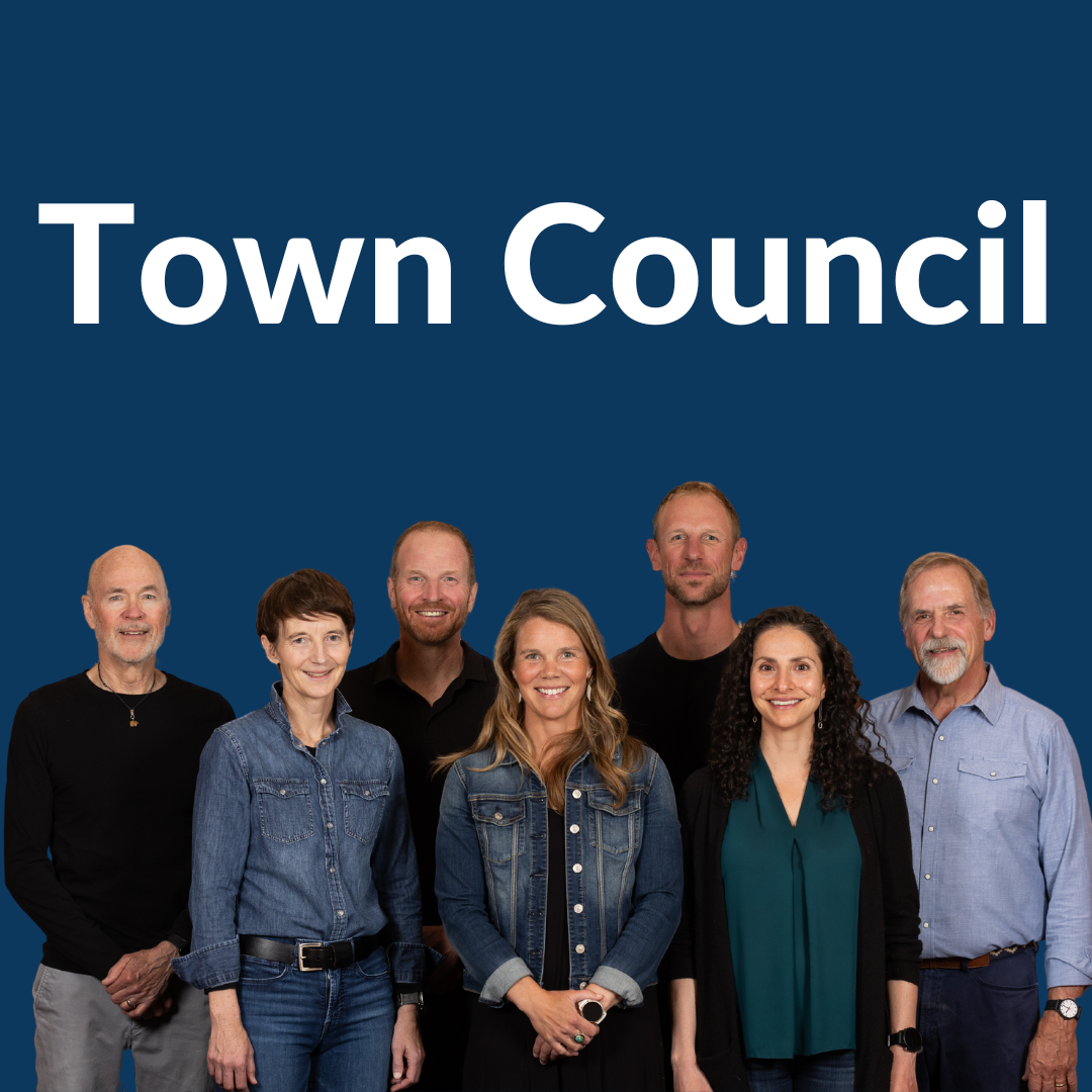 Town Council